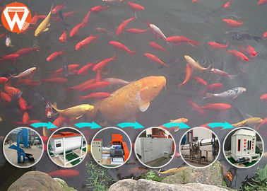 Mesin Pengolah Pakan Ikan Jaring Sabuk, Proses Pembuatan Makanan Ikan 65KW