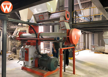 Lahan Produksi Pakan Ternak Besar Stabil Dengan Mesin Mixer Hammer Mill